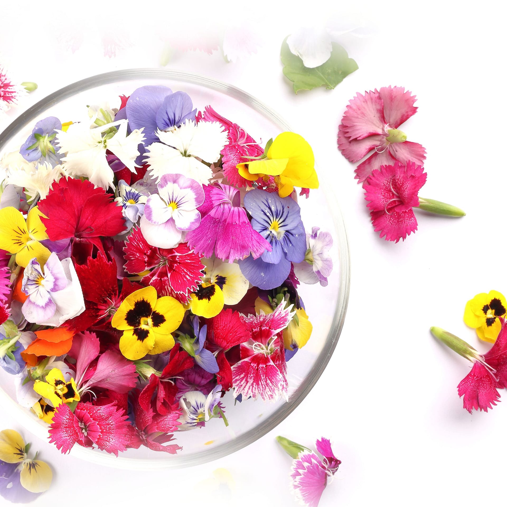 Home beautiful colourful yellow violet wite red edible flowers in a s